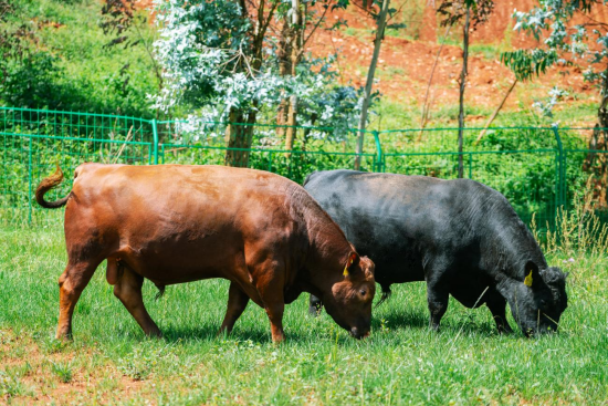 1688360937199958.png 20230630042312.png